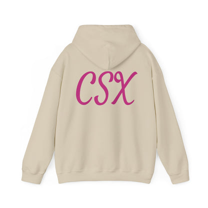 A Little Fun Unisex Hoodie