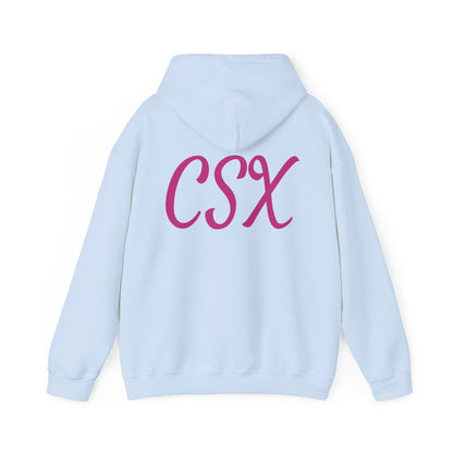 A Little Fun Unisex Hoodie