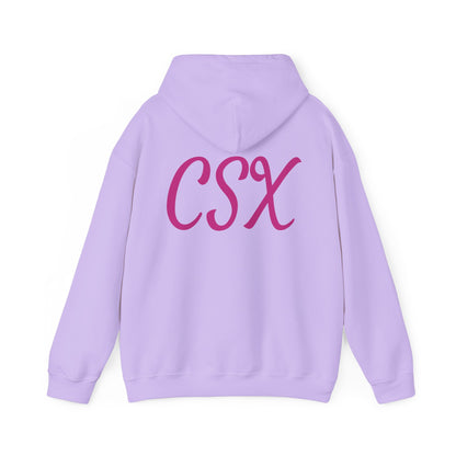 A Little Fun Unisex Hoodie